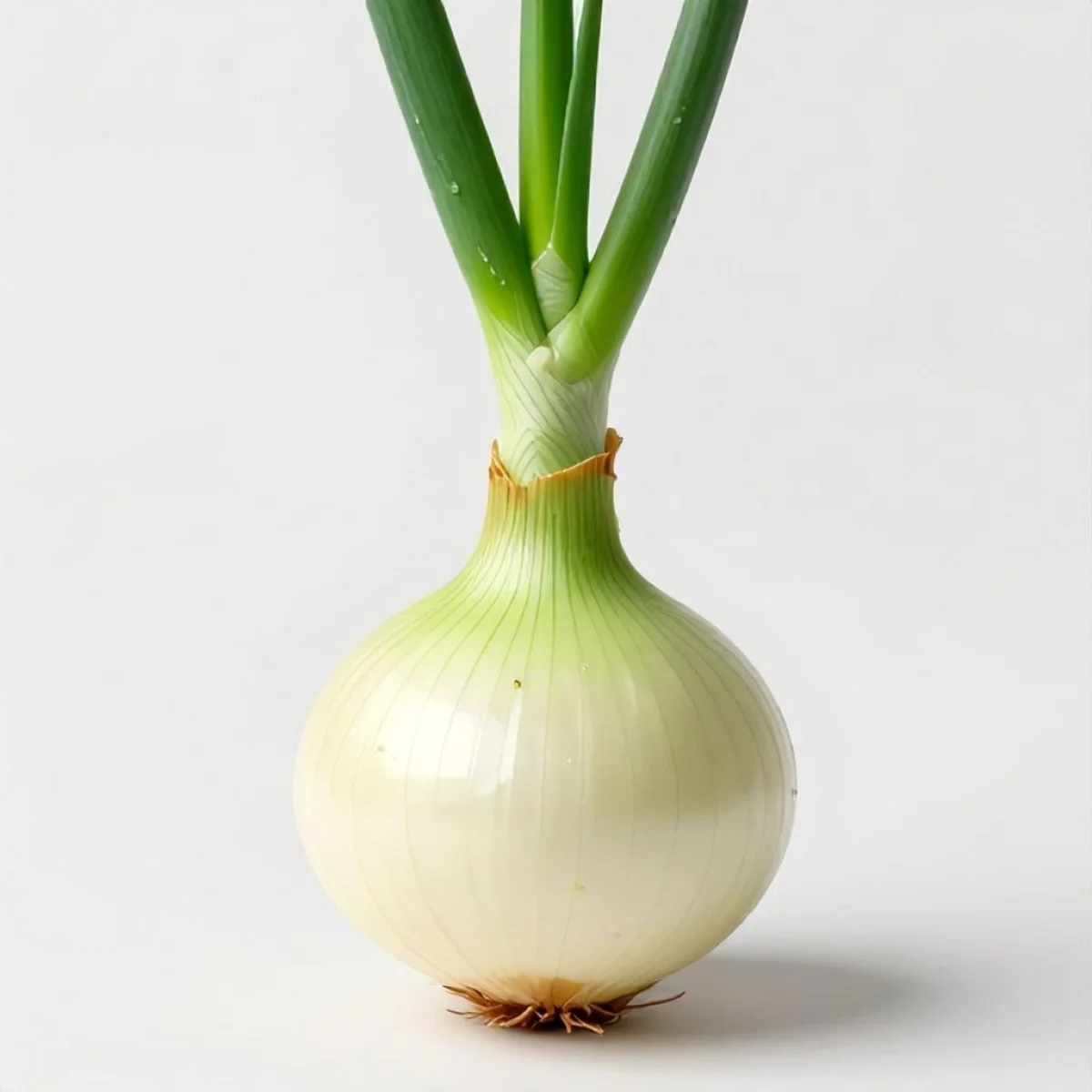 Dymka: Młoda Cebula o Wszechstronnym Zastosowaniu