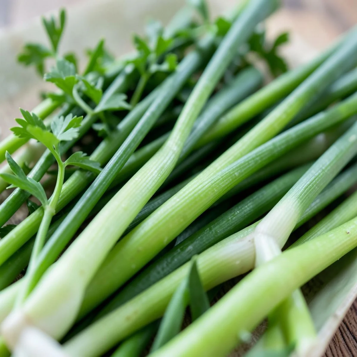 Szczypiorek i dymka, zbliżenie, kontrastowe, świeże z ogrodu.